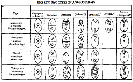 2096_Embryological Evidence.png